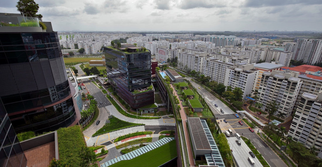 North star: the rise and rise of Woodlands