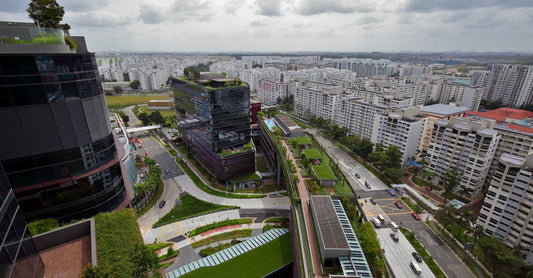 North star: the rise and rise of Woodlands