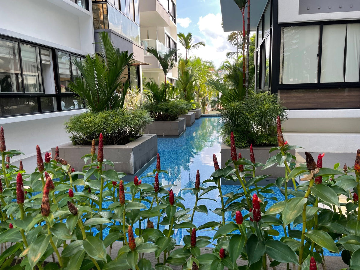 Evania — render 3