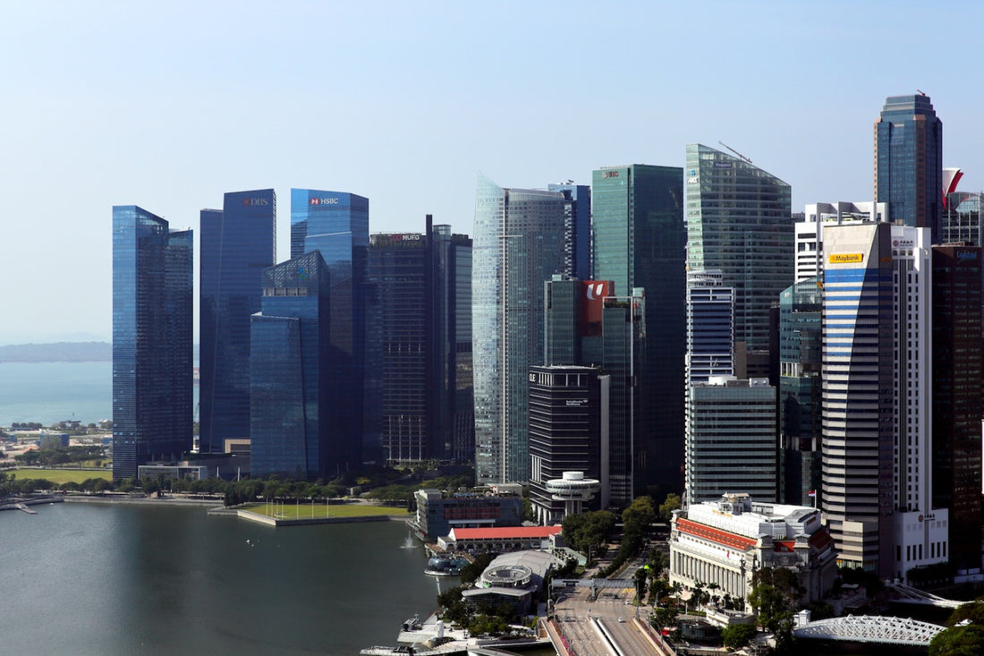 Navigating the Shifting Tides: A Deep Dive into Singapore's Office Space Dynamics