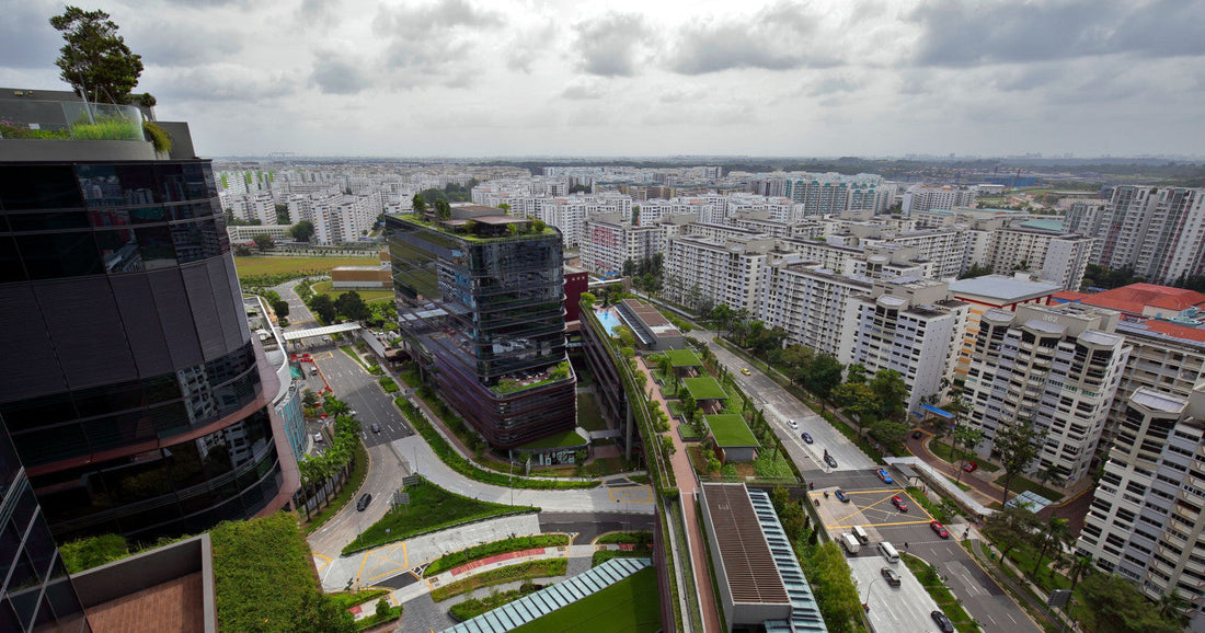 Singapore’s North is transforming with new housing, RTS link, and lifestyle hubs.
