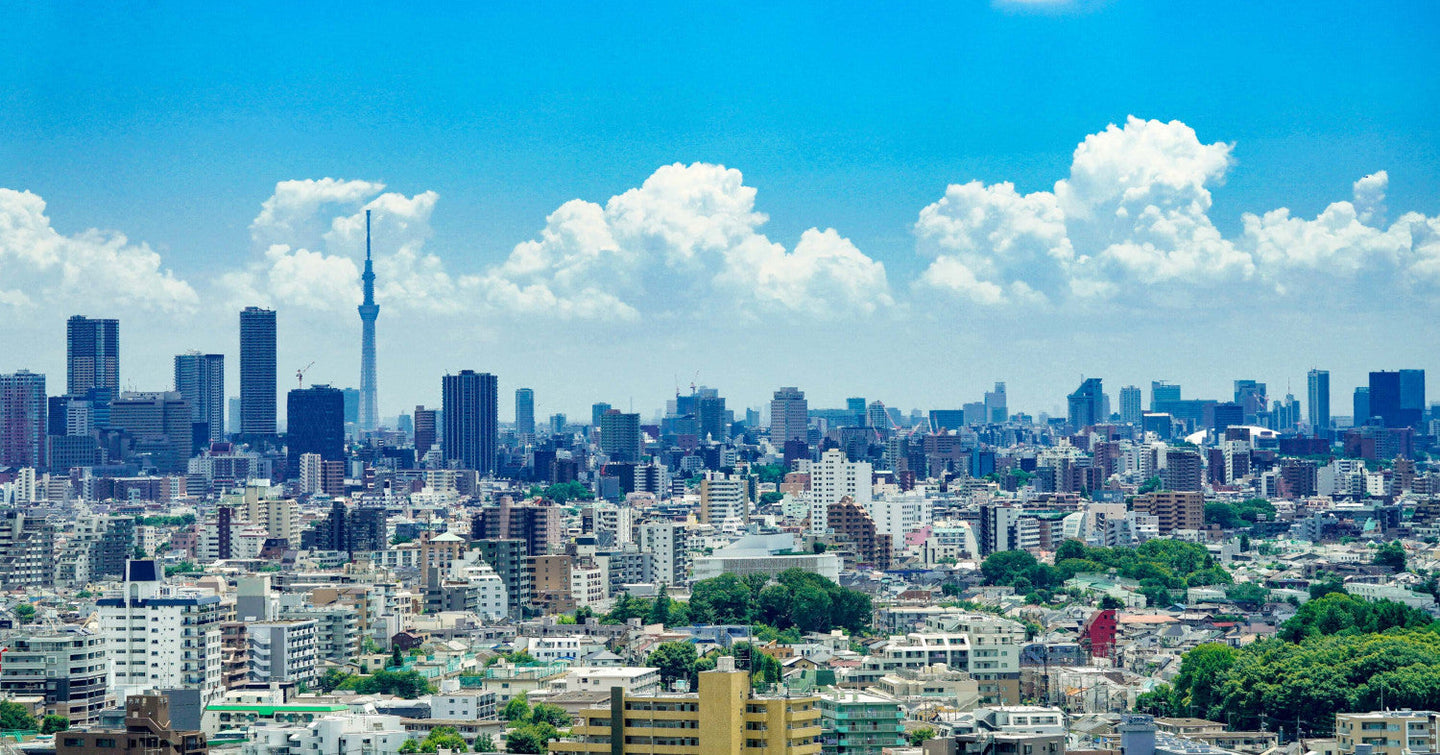 Singapore Investors Turn to Japan: Rental-Ready Homes Gain Popularity Amid Global Uncertainty