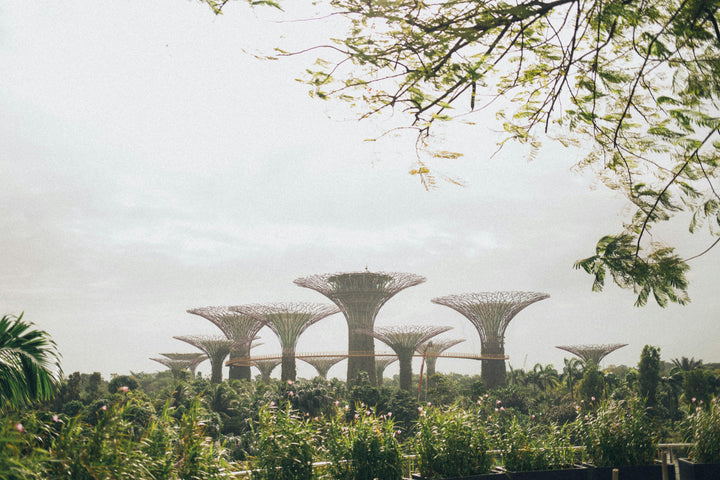 Singapore Property Market 2025: Resilience, Repricing, and What Buyers Should Watch Next