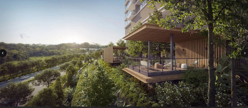 Nava Grove — gallery 12