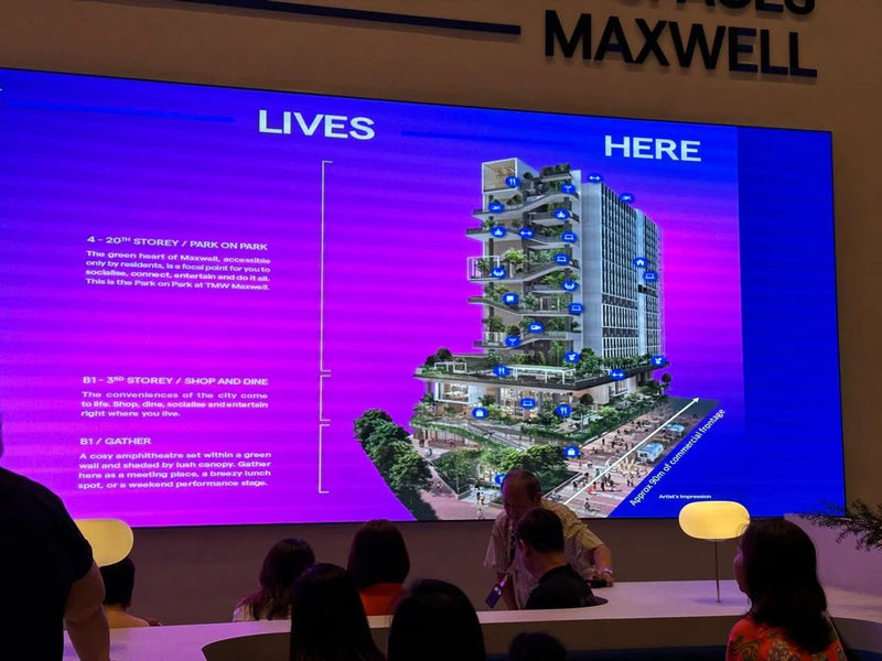 TMW Maxwell — gallery 2