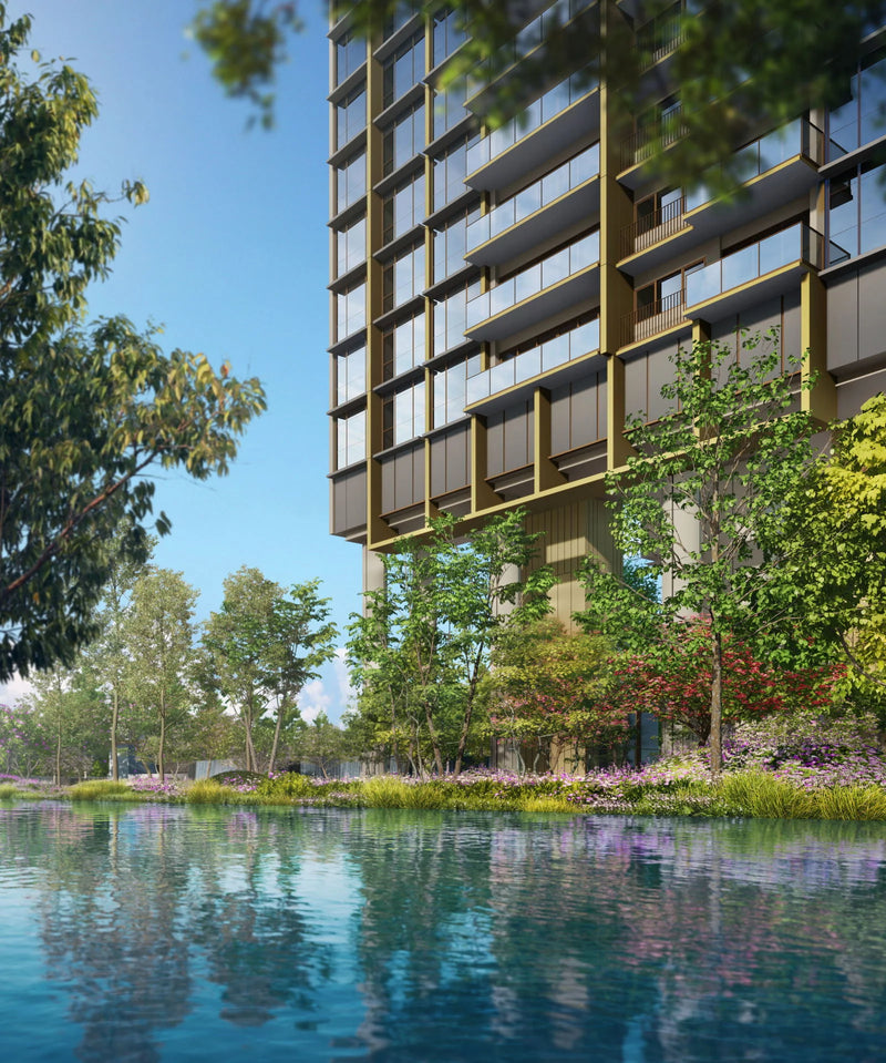 Pinetree Hill — gallery 2