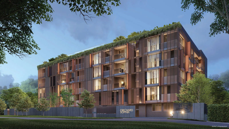 Orchard Sophia — gallery 3