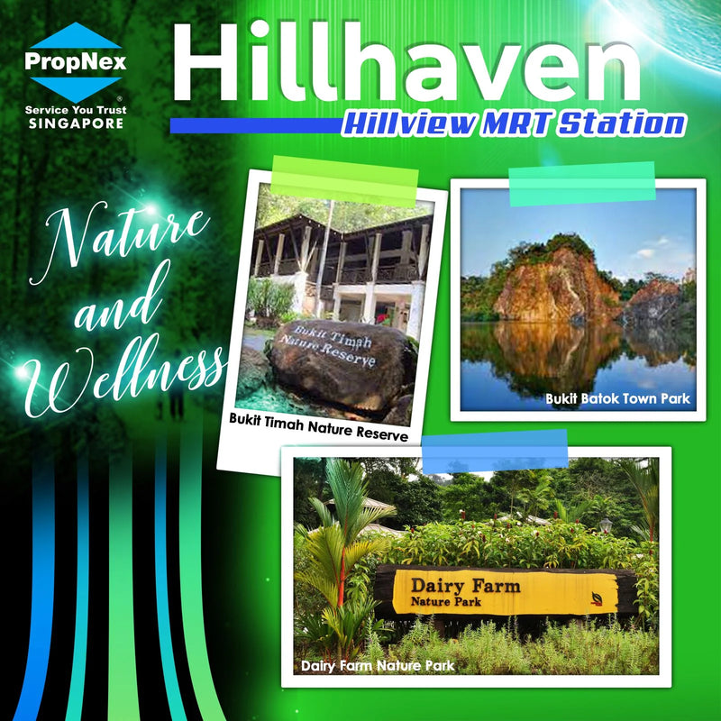 Hillhaven — gallery 6