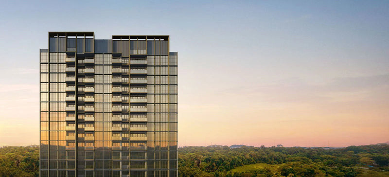 Pinetree Hill — gallery 6