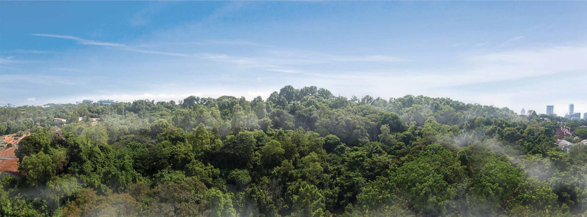 Kent Ridge Hill Residences — render 5