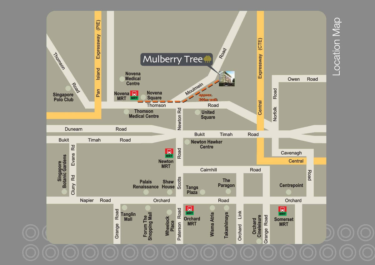 Mulberry Tree — render 2